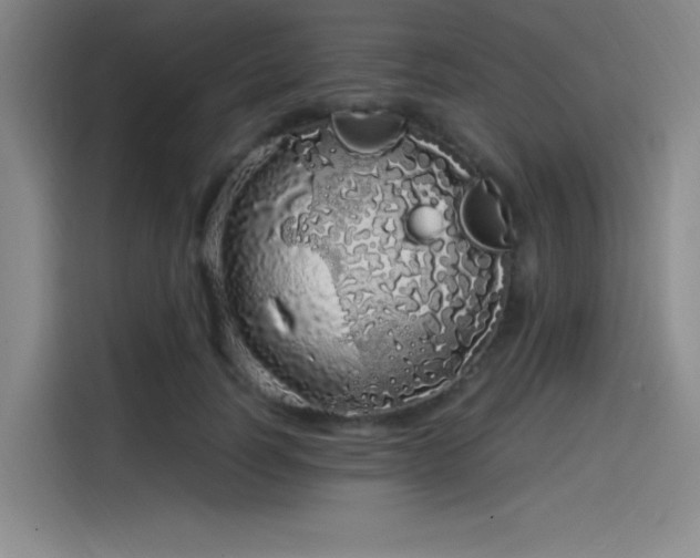 X0000114200746200910161224