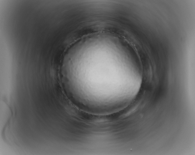 X0000114200749200910161224