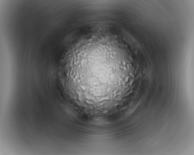 X0000114200753200910161224