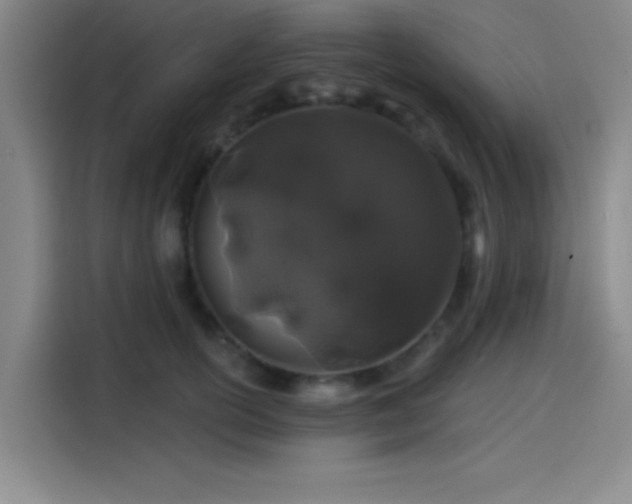 X0000114200754200910161224