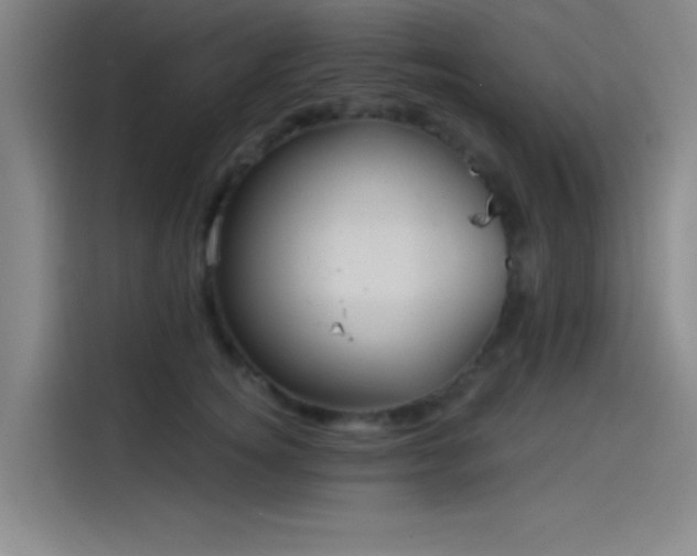 X0000114200756200910161224