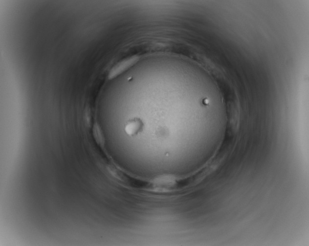 X0000114200758200910161224