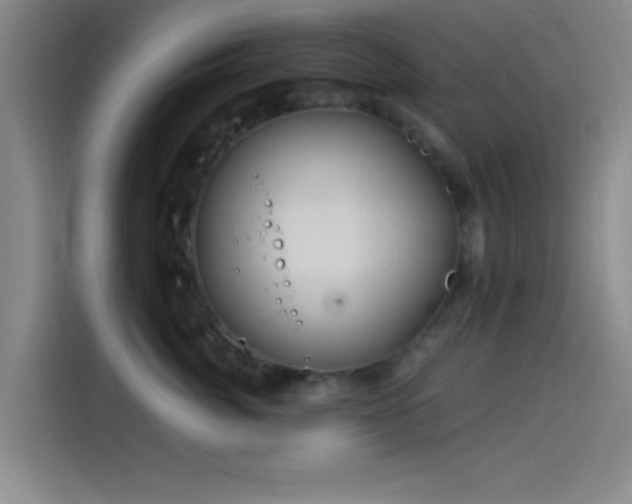 X0000114200764200910161225