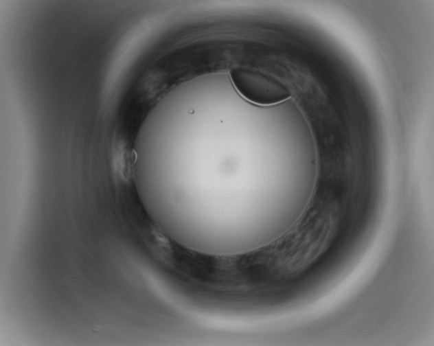 X0000114200766200910161225