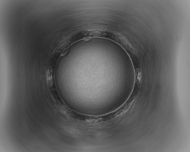 X0000114200771200910161224