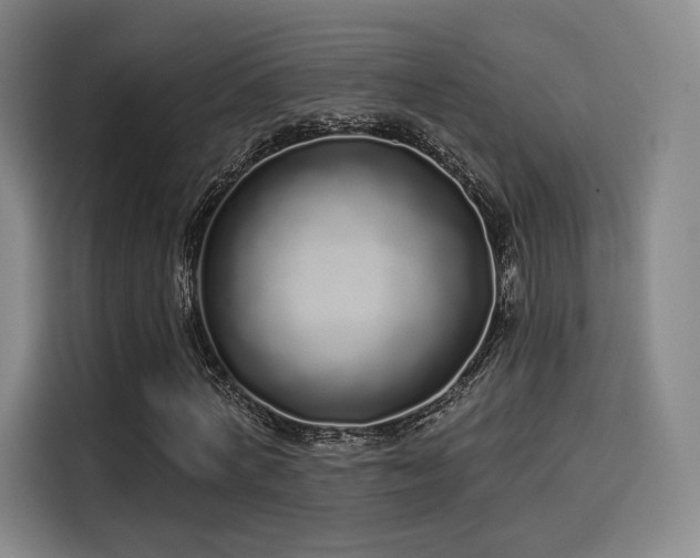 X0000114200772200910161224