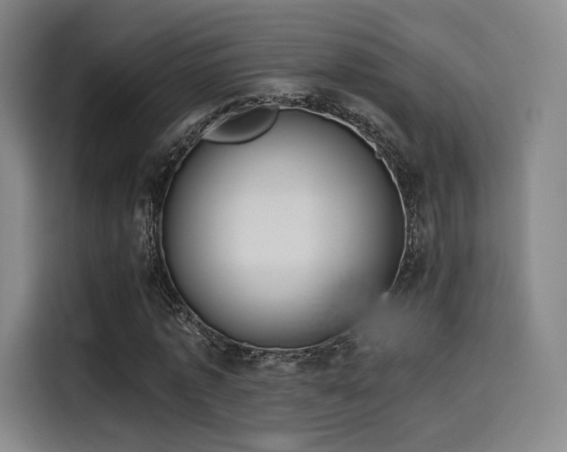 X0000114200773200910161224