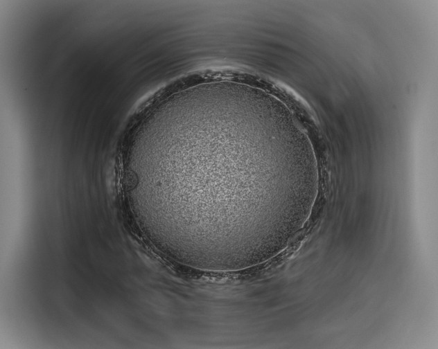 X0000114200775200910161224