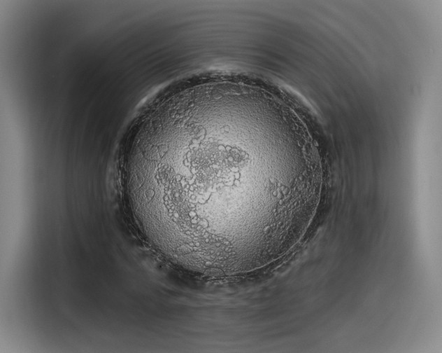 X0000114200776200910161224