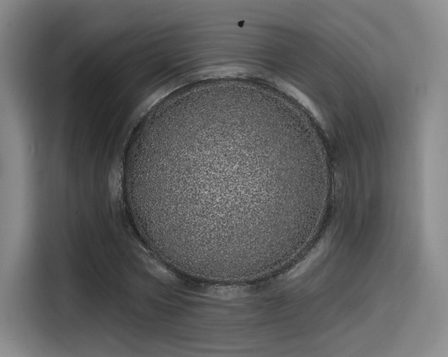 X0000114200778200910161224