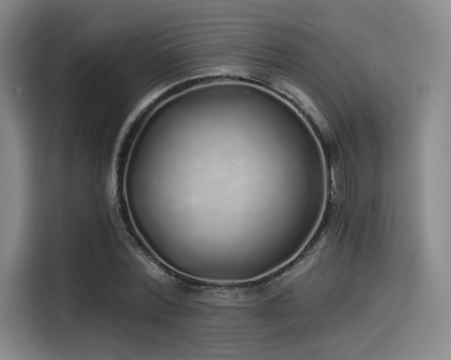 X0000114200780200910161224