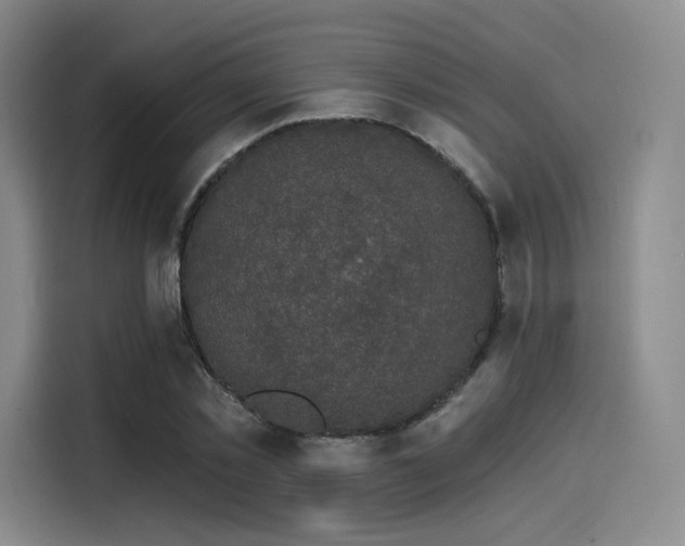 X0000114200781200910161224