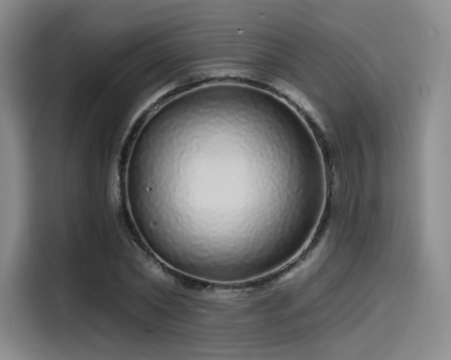 X0000114200782200910161224