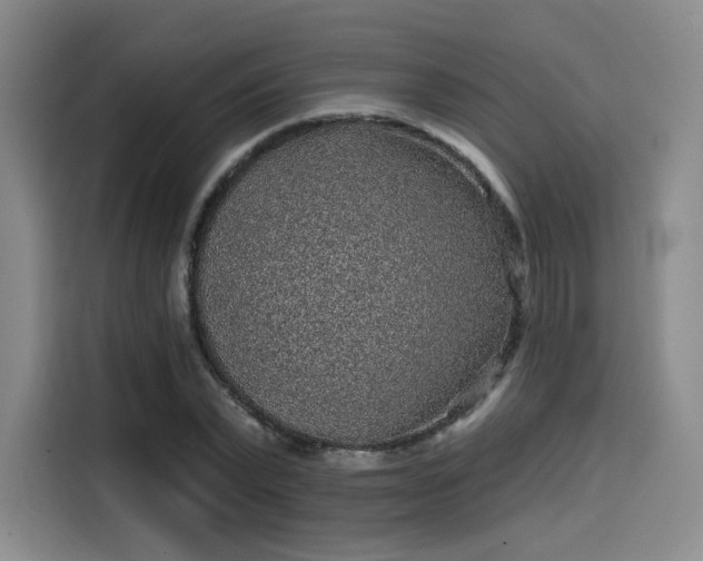 X0000114200783200910161224