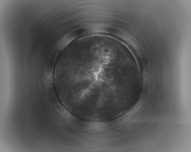 X0000114200785200910161224