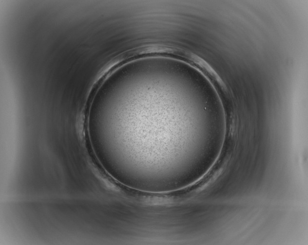 X0000114200786200910161224