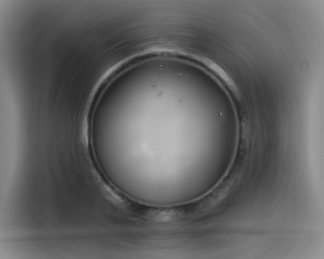 X0000114200791200910161224