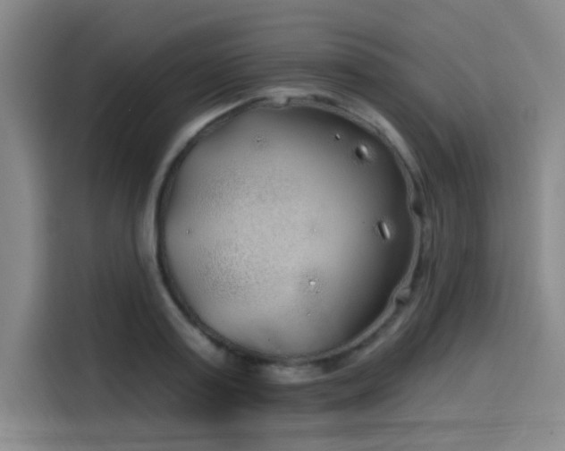 X0000114200795200910161224