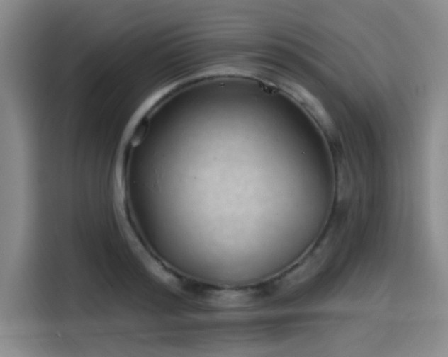 X0000114200796200910161224