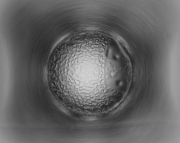 X0000114200798200910161224