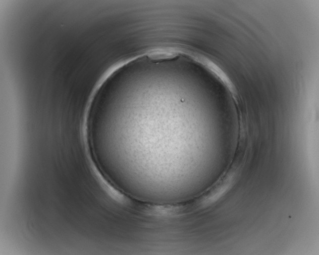 X0000114200803200910161224