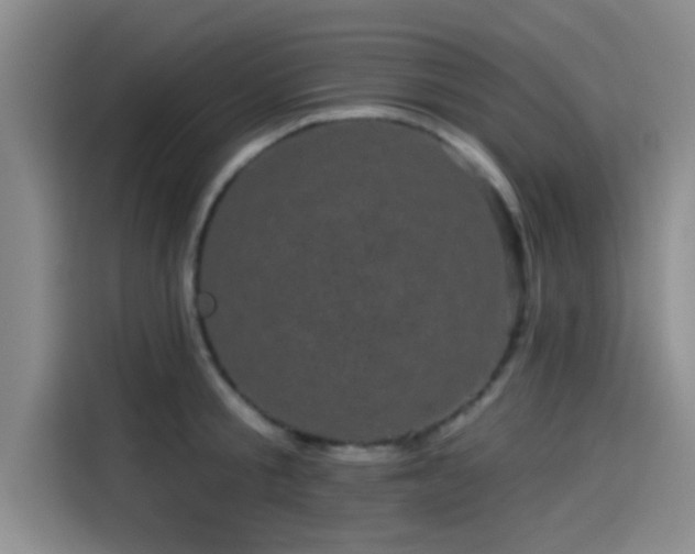 X0000114200805200910161224