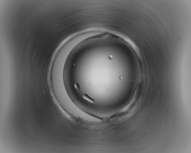 X0000114200807200910161223