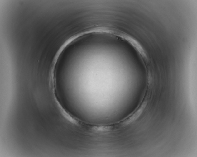 X0000114200808200910161223