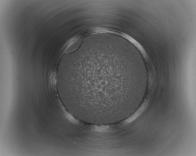 X0000114200809200910161223