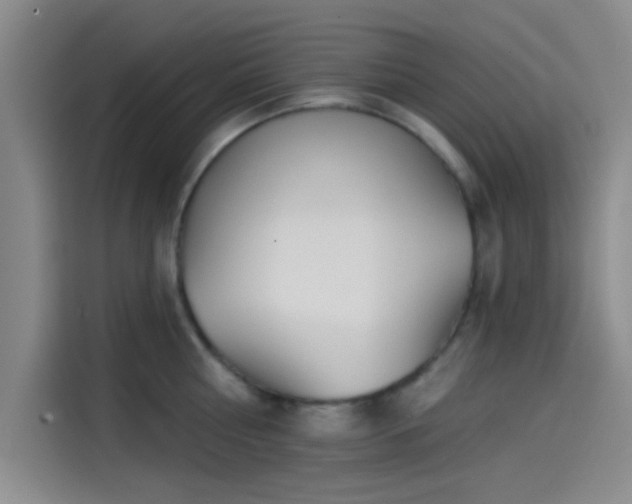 X0000114200810200910161223