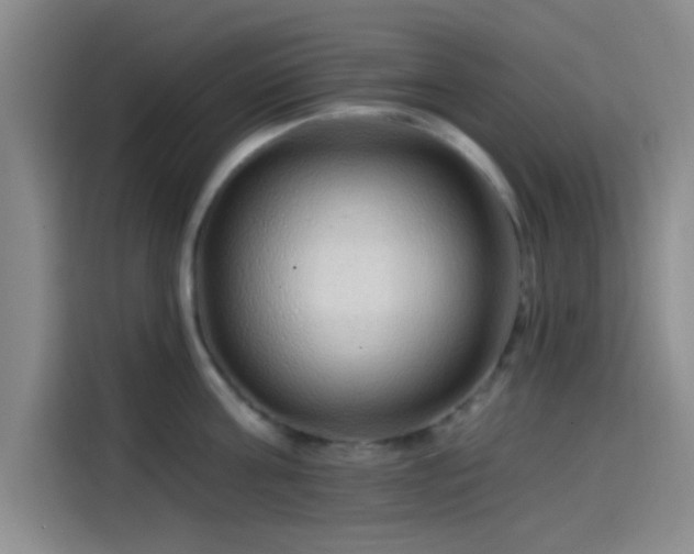 X0000114200811200910161223