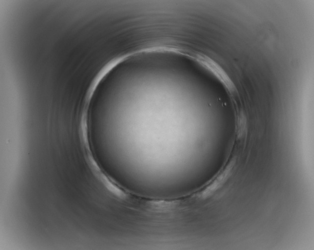 X0000114200812200910161223