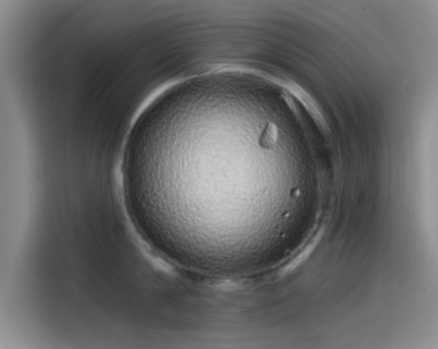 X0000114200814200910161223