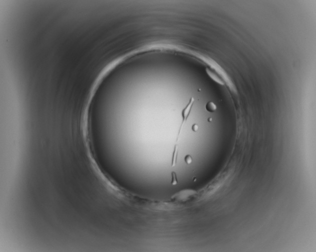 X0000114200815200910161223