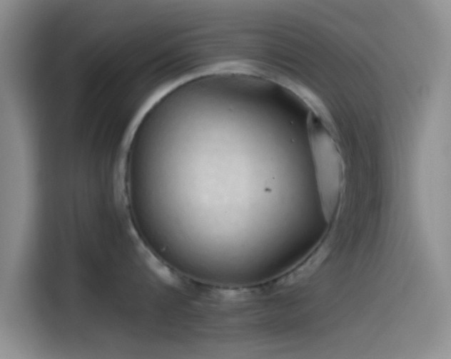 X0000114200816200910161223