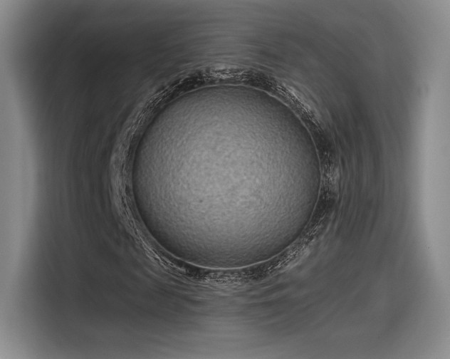 X0000114200817200910161223