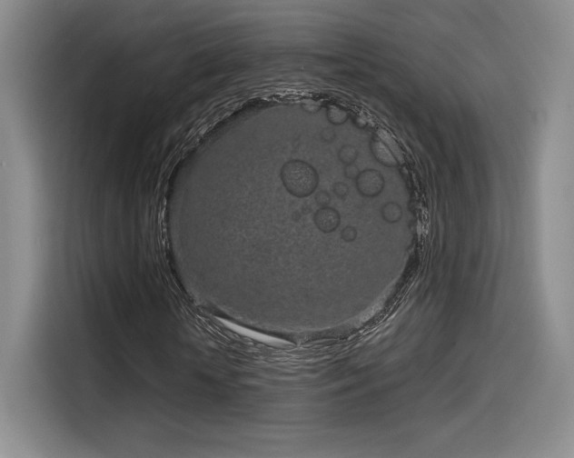 X0000114200818200910161223