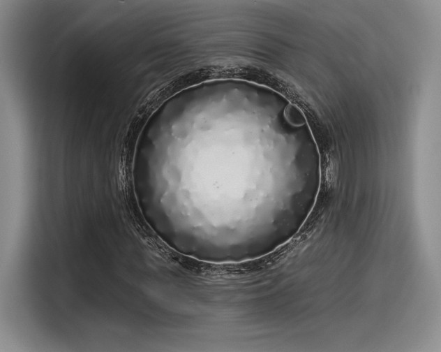 X0000114200819200910161223