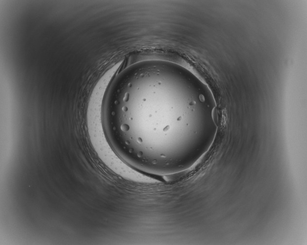 X0000114200820200910161223