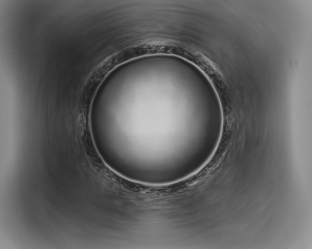 X0000114200821200910161223