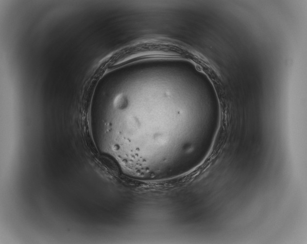 X0000114200822200910161223