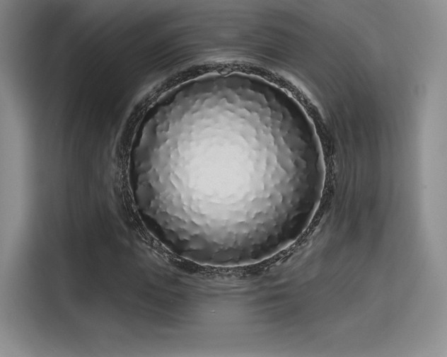 X0000114200823200910161223