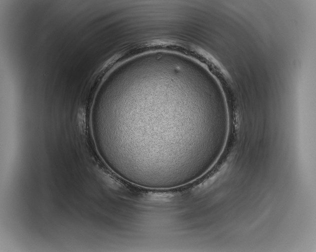 X0000114200825200910161223