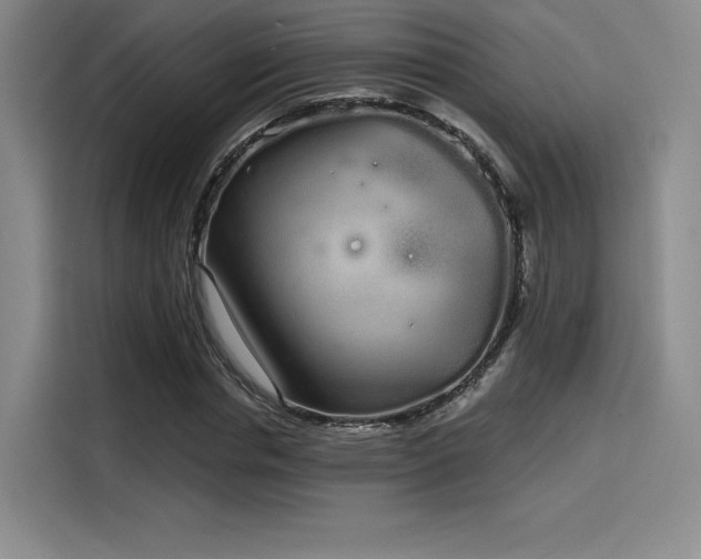 X0000114200826200910161223