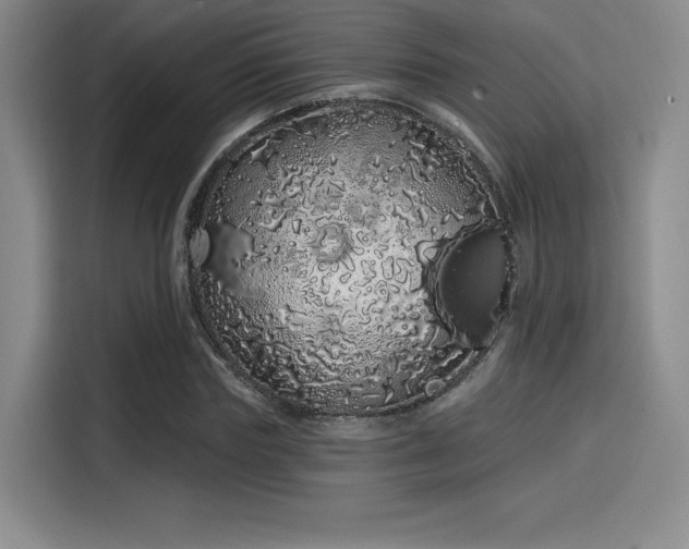 X0000114200827200910161223