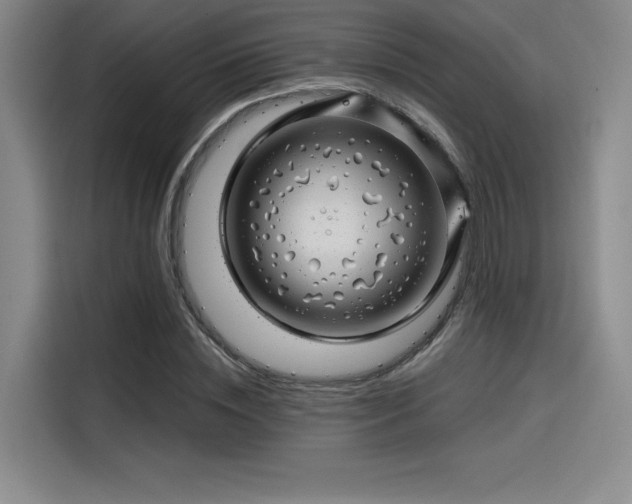 X0000114200828200910161223