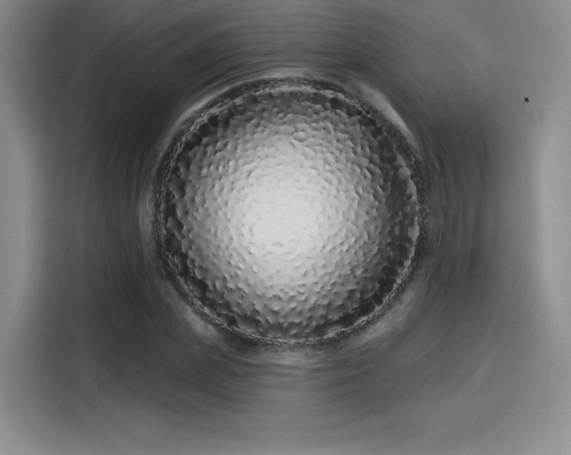 X0000114200831200910161223