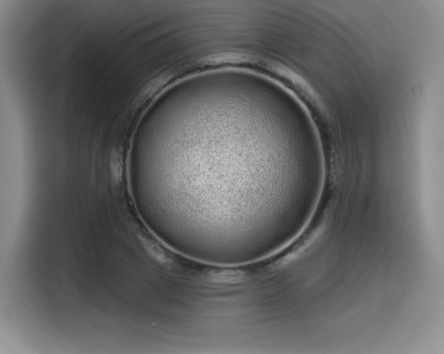 X0000114200833200910161223