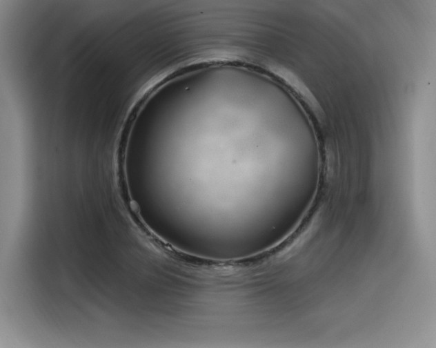 X0000114200834200910161223