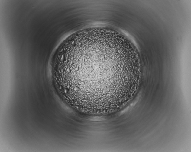 X0000114200835200910161223